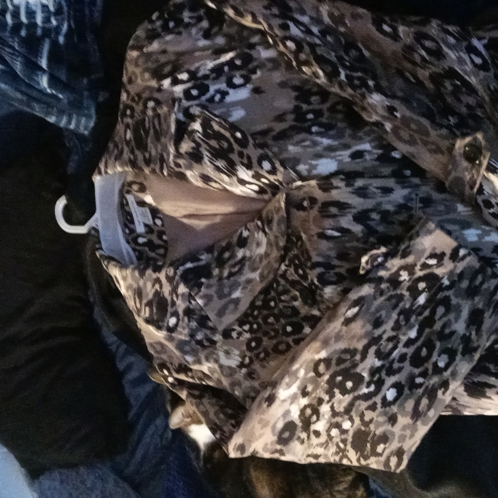 Liz claiborne Belted Trench Coat